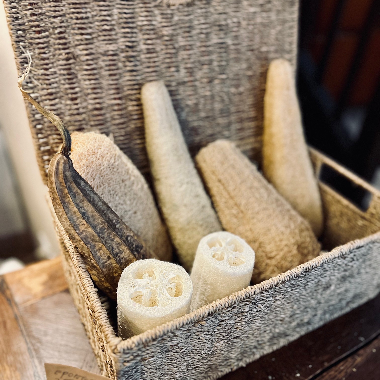 Savon tradition Brive - Les éponges naturelles