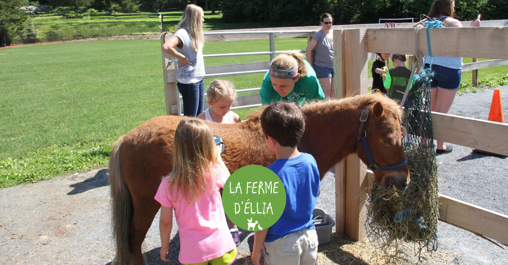 La ferme d'Ellia Sarlat - Les poneys