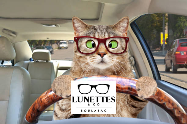 You are currently viewing Lunettes & co – Périgueux – Une deuxième paire à bord du véhicule