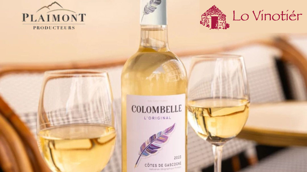 Lo Vinotier Gourdon - Côte de Gascogne, une touche de soleil