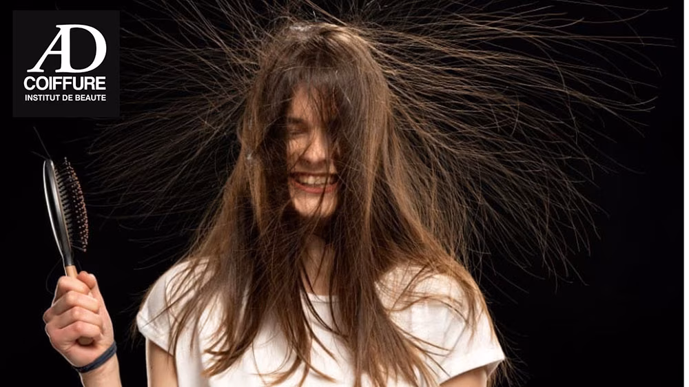 AD Coiffure Brive - Nos astuces contre les chevaux électriques