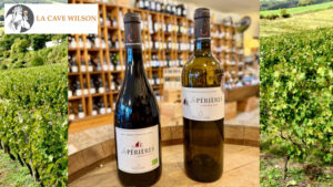 Lire la suite à propos de l’article Cave Wilson Périgueux – Cap sur la Corrèze !